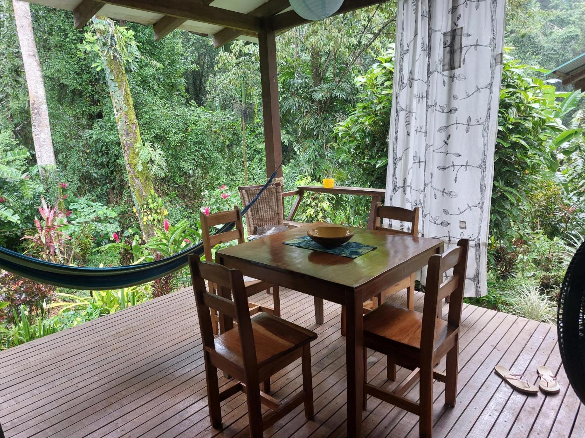 Casa Lina Sloth View Exotic Apartment With Privat Kitchen Puerto Viejo de Talamanca Exterior foto