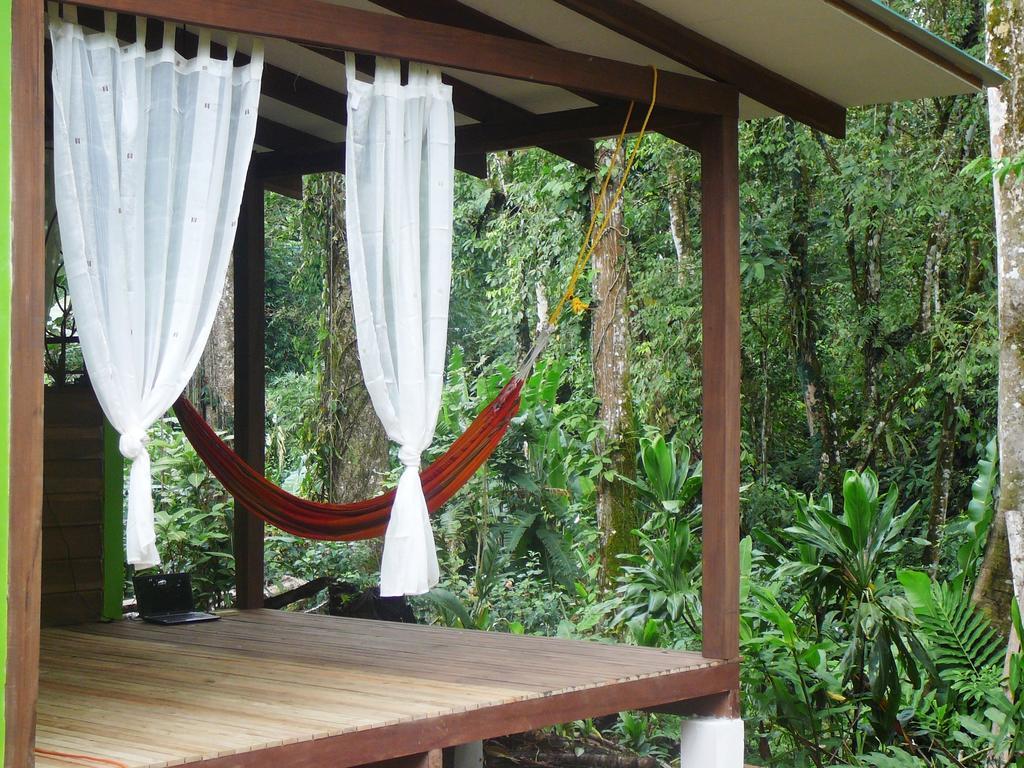 Casa Lina Sloth View Exotic Apartment With Privat Kitchen Puerto Viejo de Talamanca Quarto foto
